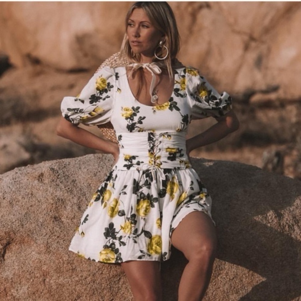 Steele x Anthropologie corset dress size xs